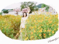 -玫瑰海岸文化旅游度假区