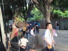 -大龙山(地铁站)