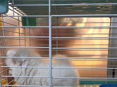 -宠爱我(南山店)