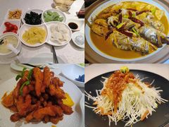 -船歌·鱼水饺青岛菜(金狮广场店)