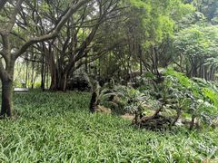 -广州珠江公园