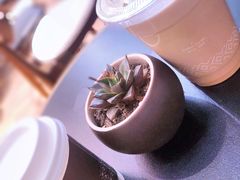 -Peet's Coffee皮爷咖啡(德基店)