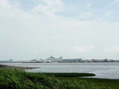 -吴淞炮台湾湿地森林公园烧烤区