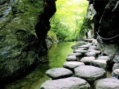 -牛背梁国家森林公园