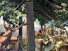 -陕西自然博物馆