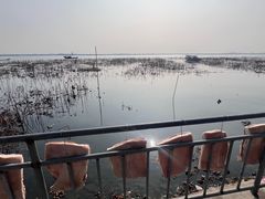 -莲花岛景区