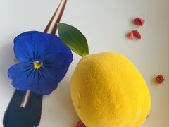-泉客厅Spring Pavilion(303M空中会客厅)