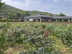 -龙寺生态园