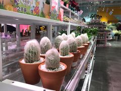 -KKV(深圳宏发大仟里店)