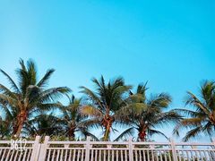-白沙门生态公园