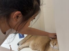 -有猫主题·治愈系猫咖(曾厝垵店)