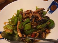 -Mountain House East Village 川山甲