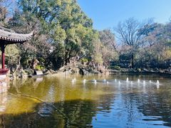 -绮园景区
