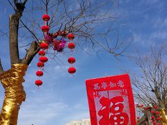 -芦庄子桂顺斋(和平路总店)