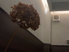 -泰菩提树下·泰式按摩SPA(沙坡尾店)