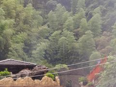 -将军关探险漂流