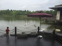 怡沁园度假村-上海怡沁园度假酒店