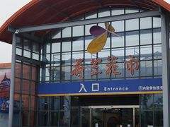 -荷兰花海