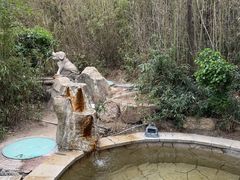 -徂徕山森林康养度假谷温泉