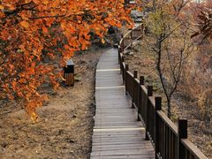 -北京十三陵国家森林公园蟒山景区