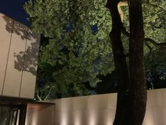 -九里云松·天香餐厅