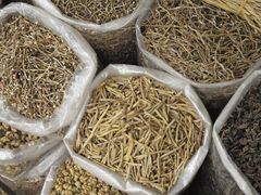 -清平中药材专业市场
