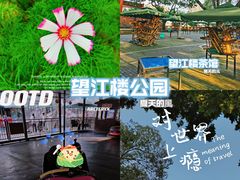 -望江楼公园