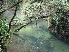 -五泄景区