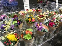 -鹿岛生活(熙地港店)