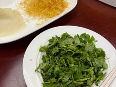 -丁老爷子苏香圆