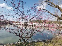 -广富林郊野公园