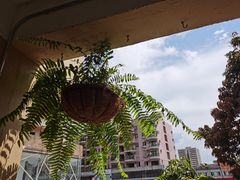 -邊渡咖啡