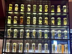 -广东中医药博物馆