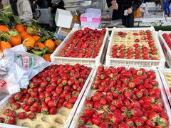 -南坛综合农贸市场