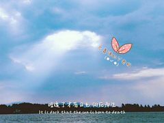 -合肥滨湖国家森林公园