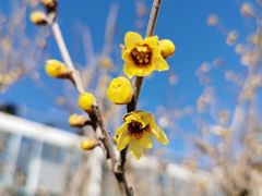 -国家植物园南园