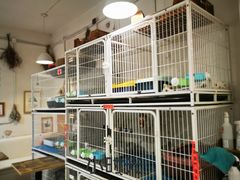 -小时光咖啡馆(北锣鼓巷店)