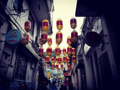 -猫咪博物馆(顶澳仔猫街店)