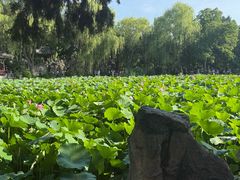 -莲池书院博物馆