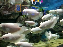 -临沂极地海洋王国