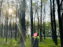 -石家庄市植物园