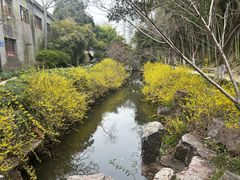 -水绘园