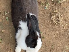 -潭柘厚院&山顶烤肉(潭柘寺店)