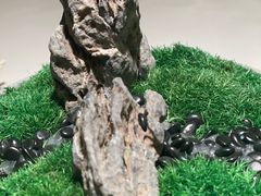 -桂满陇(虹桥天地店)