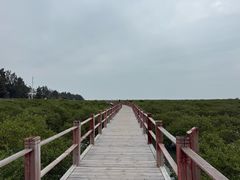 -北海金海湾红树林生态旅游区