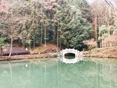 -灵栖洞天