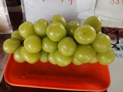 -马陆小张葡萄园农家乐