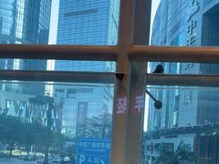 -为什么牛潮汕牛肉火锅(中信广场店)