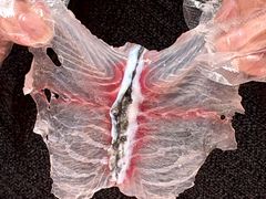 -纯味斑鱼府(上海总店)