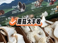 -芸山季·云南山珍菌火锅(南翔印象城MEGA店)